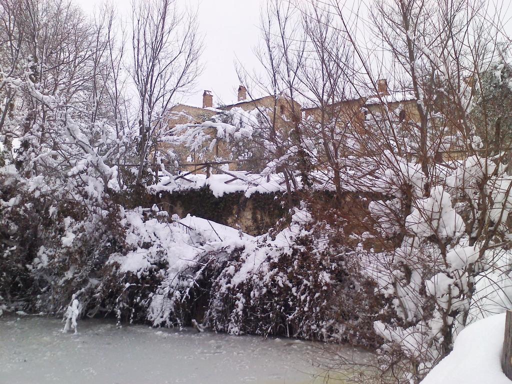 Agriturismo Cerreto П'єнца Екстер'єр фото