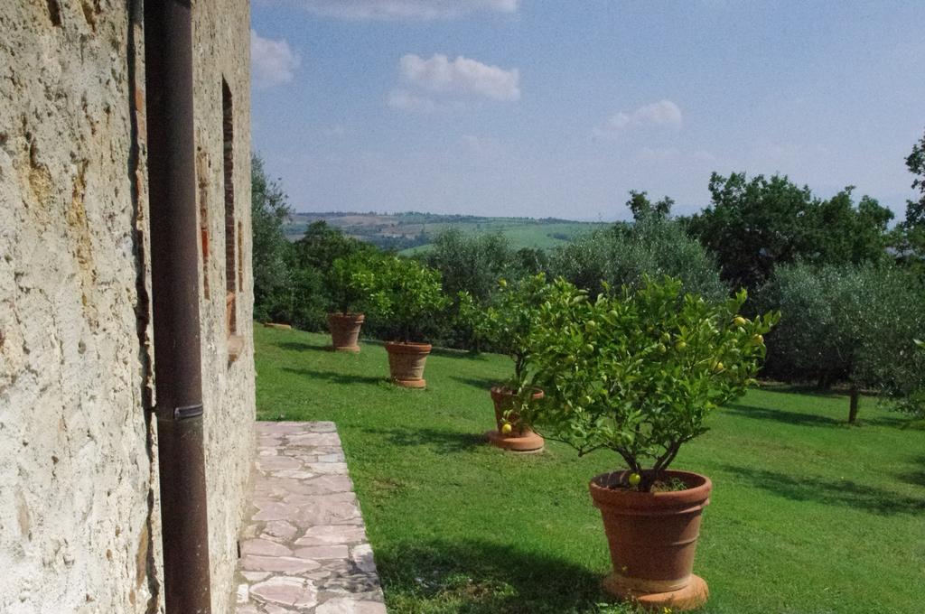 Agriturismo Cerreto П'єнца Екстер'єр фото