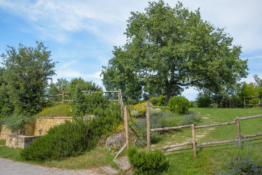 Agriturismo Cerreto П'єнца Екстер'єр фото