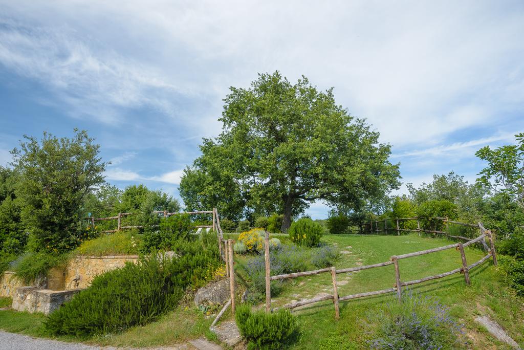 Agriturismo Cerreto П'єнца Екстер'єр фото